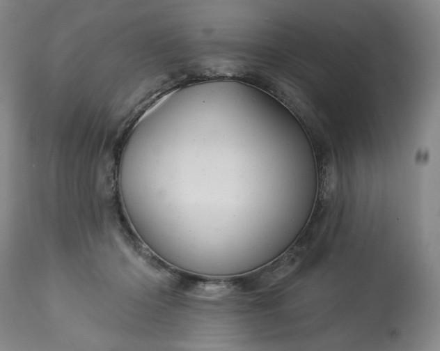 X0000113230414200909241527