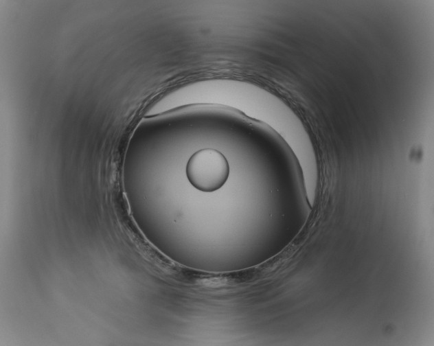 X0000113230417200909241527