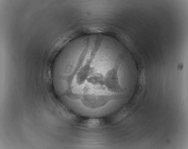 X0000113230418200909241527