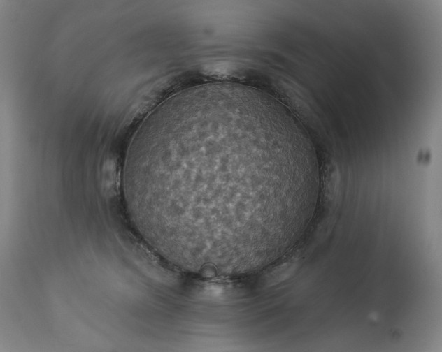 X0000113230420200909241527