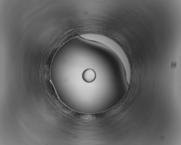 X0000113230421200909241527