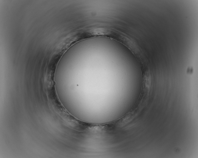 X0000113230422200909241527