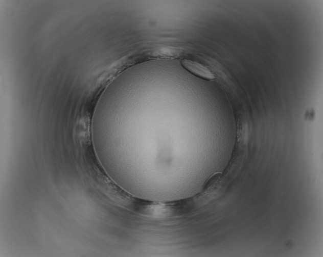 X0000113230425200909241527