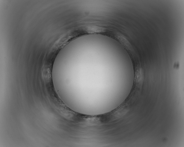 X0000113230426200909241527