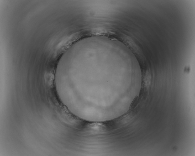 X0000113230427200909241527