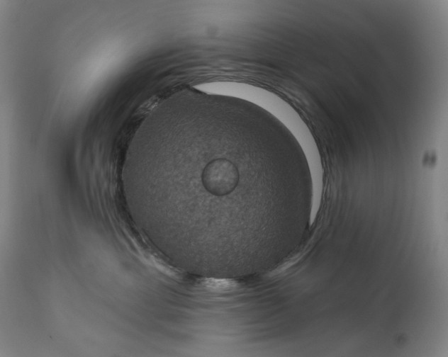 X0000113230429200909241527