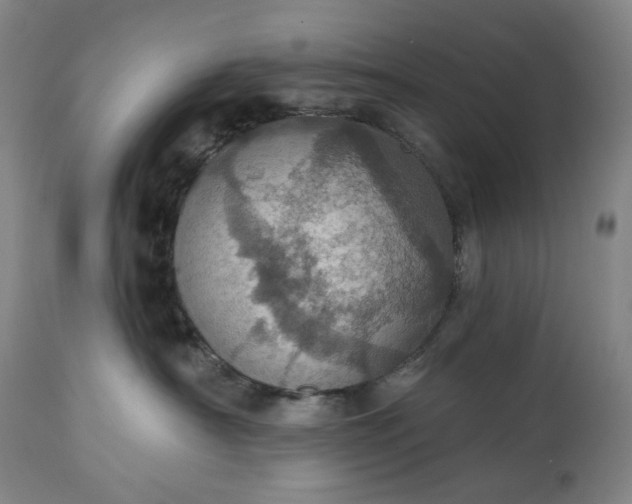 X0000113230430200909241527