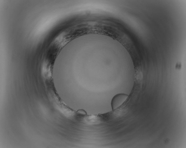 X0000113230431200909241527