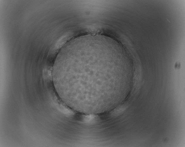 X0000113230432200909241527