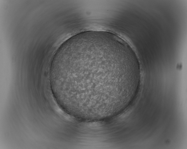 X0000113230433200909241526