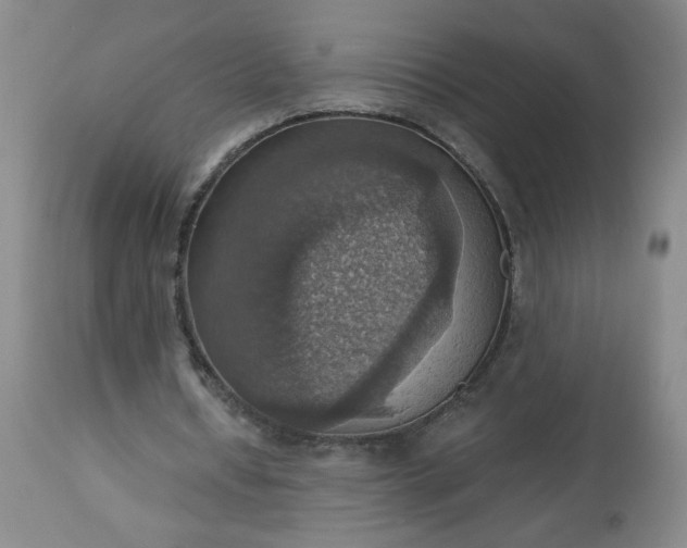 X0000113230434200909241526