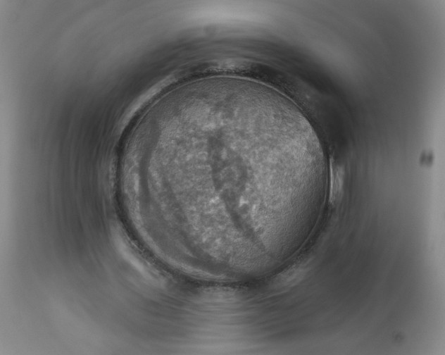 X0000113230435200909241526