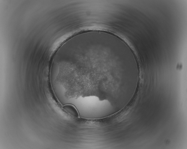 X0000113230437200909241526