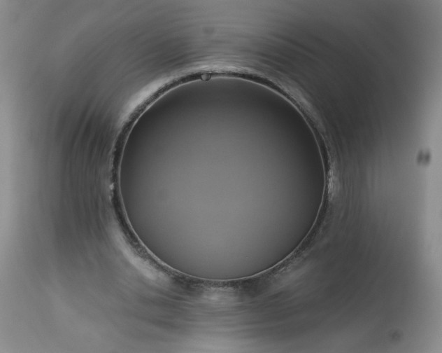 X0000113230438200909241526