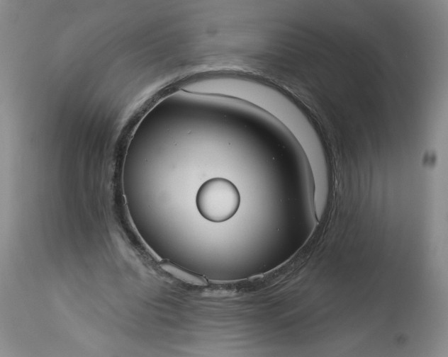 X0000113230440200909241526