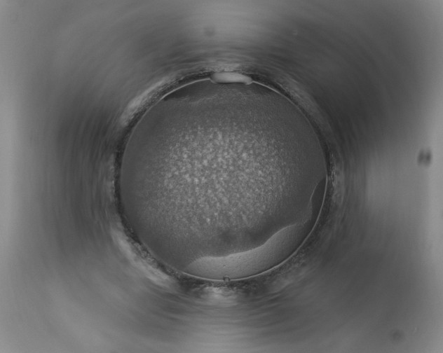 X0000113230442200909241526