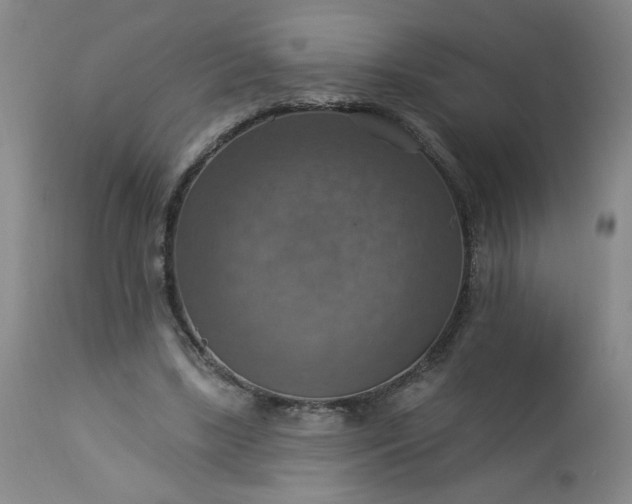 X0000113230443200909241526