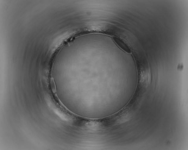 X0000113230444200909241526