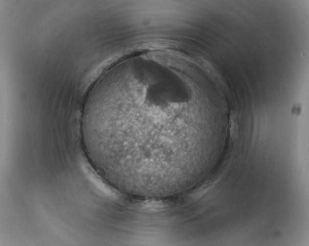 X0000113230445200909241527