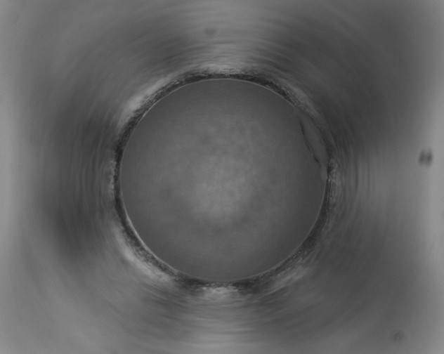 X0000113230446200909241527