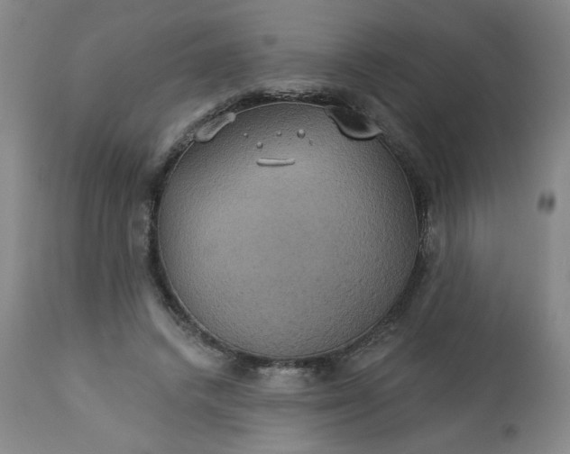 X0000113230448200909241527