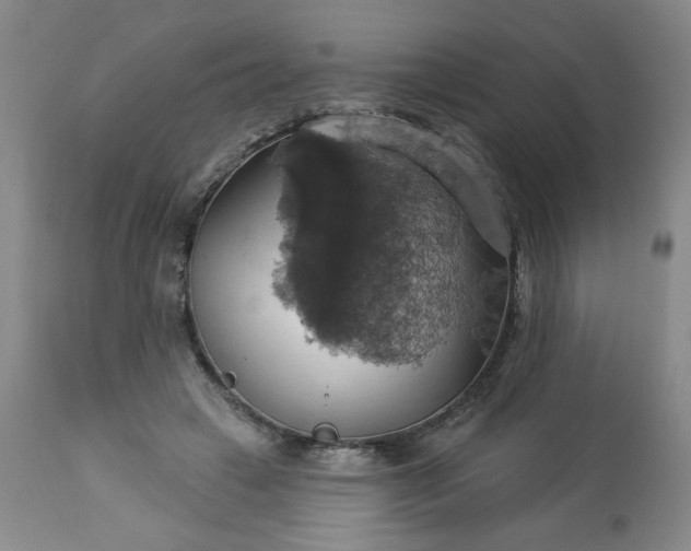 X0000113230449200909241527