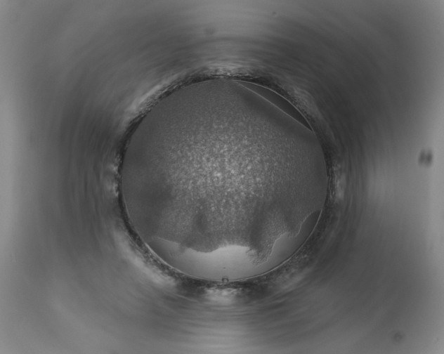 X0000113230450200909241527