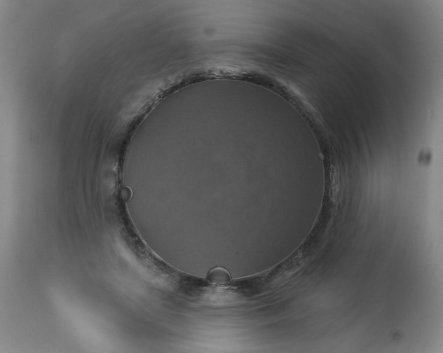 X0000113230451200909241527