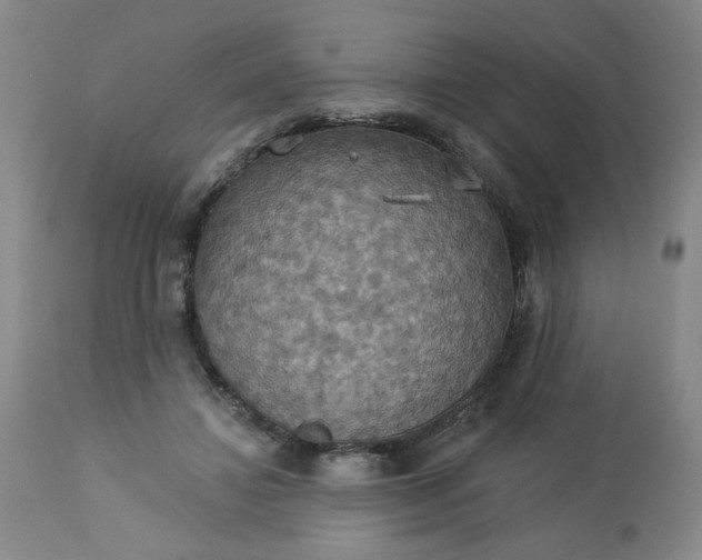 X0000113230452200909241527