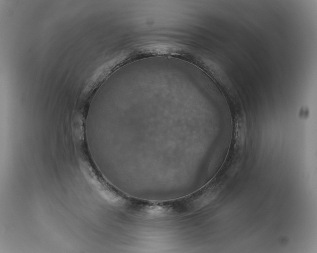 X0000113230453200909241527