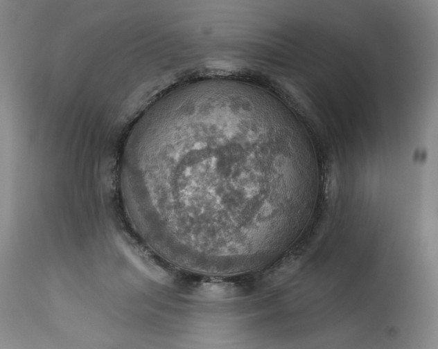 X0000113230455200909241527