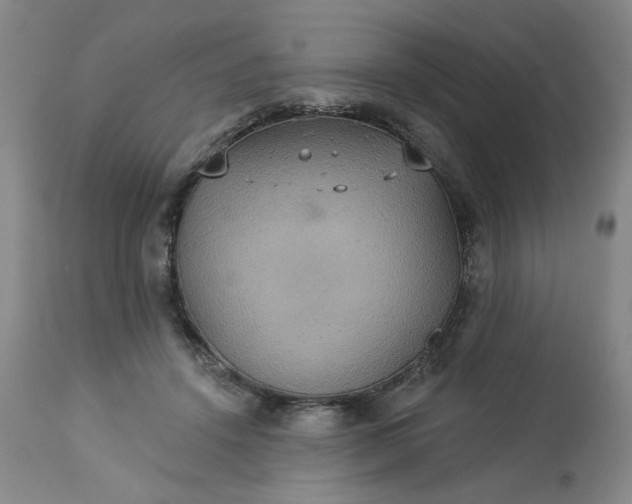 X0000113230456200909241527