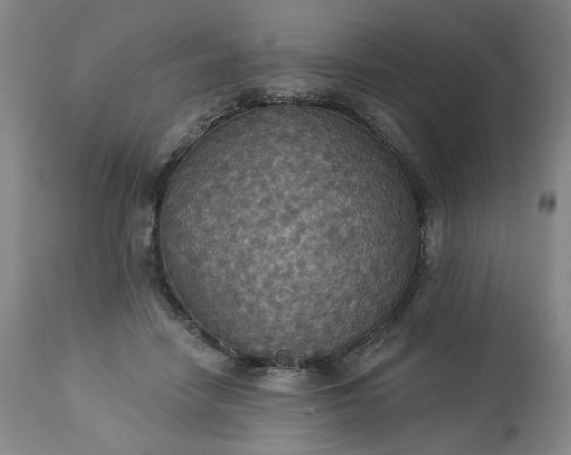 X0000113230458200909241527