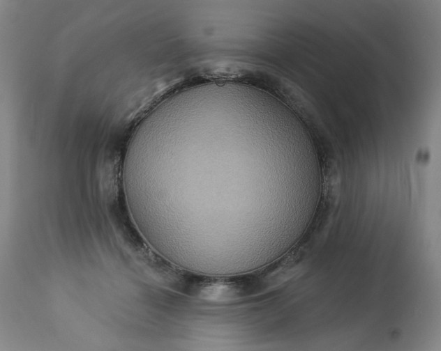 X0000113230460200909241527