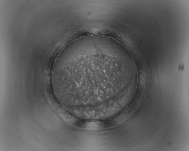 X0000113230461200909241527