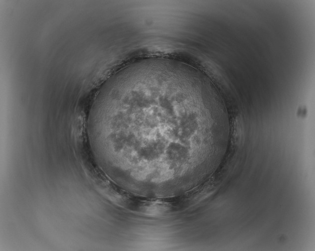 X0000113230463200909241527