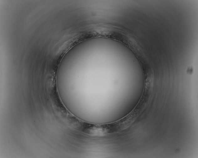 X0000113230464200909241527