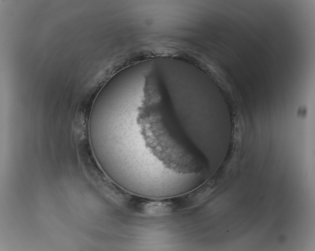 X0000113230465200909241527