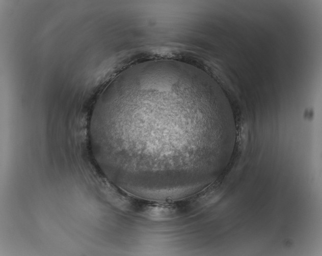 X0000113230466200909241527