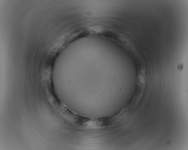 X0000113230468200909241527