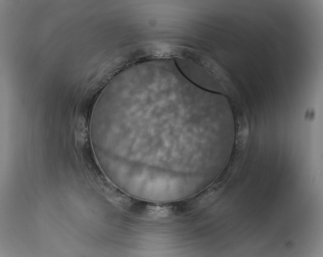 X0000113230469200909241527