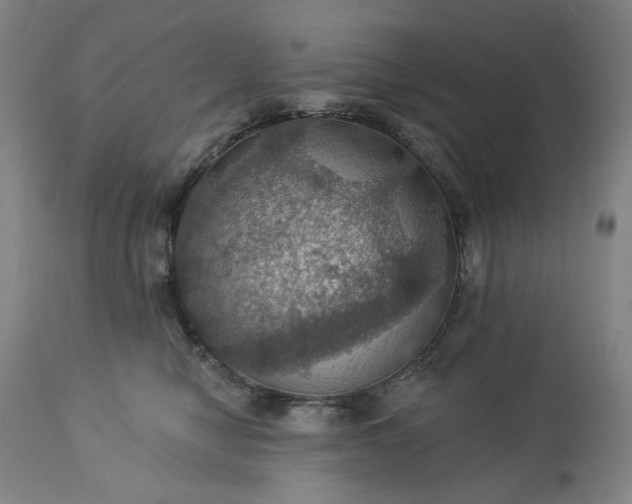 X0000113230470200909241527