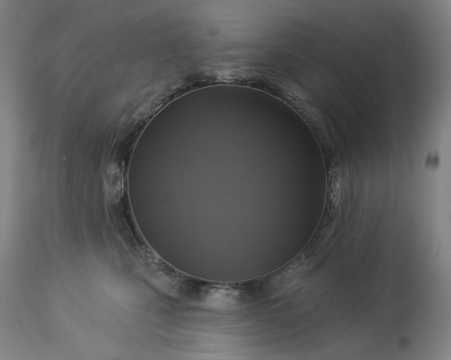 X0000113230471200909241527