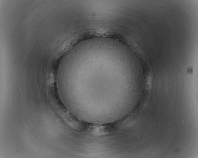 X0000113230472200909241527