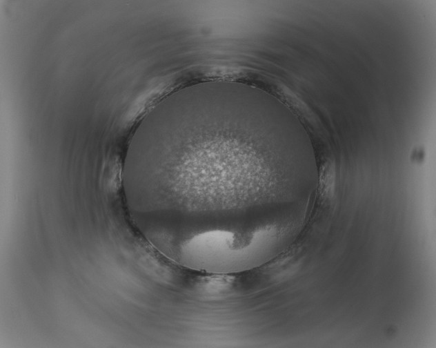 X0000113230474200909241527