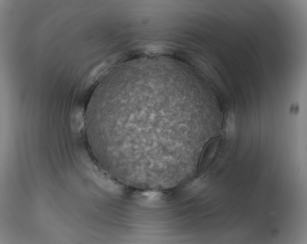 X0000113230478200909241527