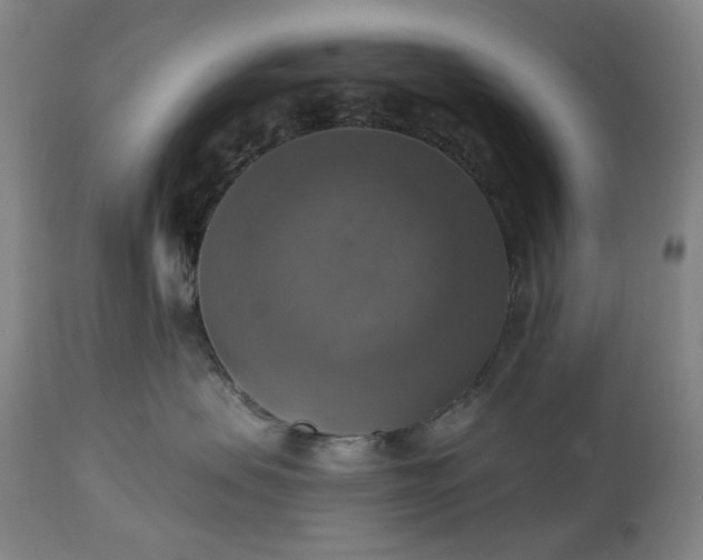 X0000113230479200909241527