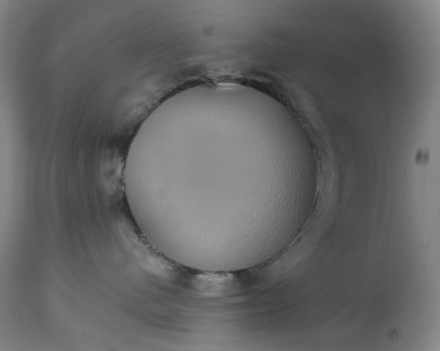 X0000113230480200909241527