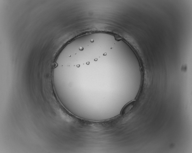 X0000113230481200909241526