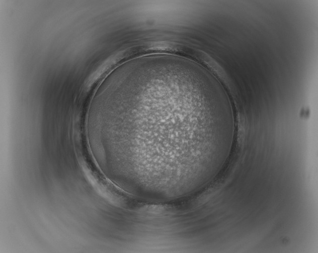 X0000113230482200909241526